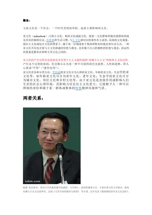 亚文化与主流文化