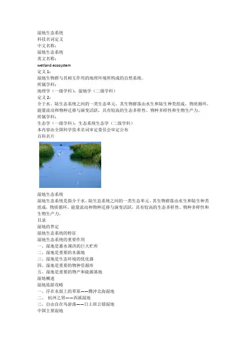 湿地生态系统