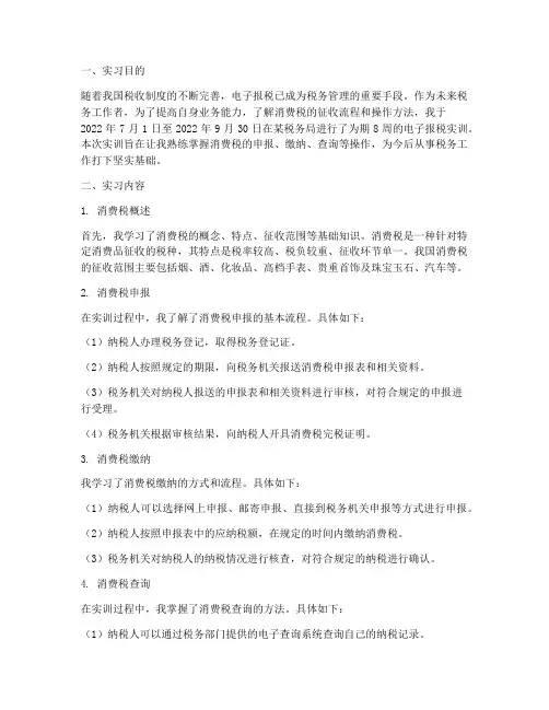 电子报税实训报告消费税