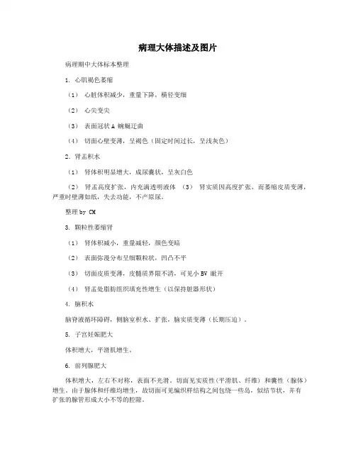 病理大体描述及图片