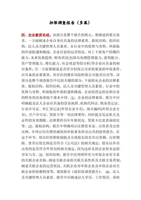 担保调查报告(多篇)