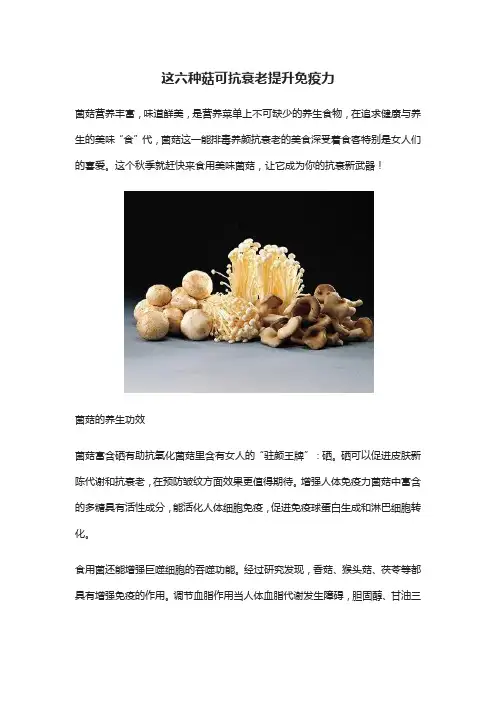 这六种菇可抗衰老提升免疫力