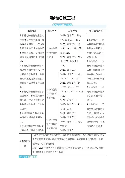 2025年高中生物高考精品备课教案：动物细胞工程