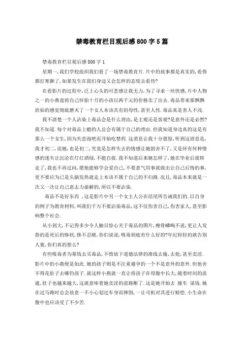 禁毒教育栏目观后感800字5篇