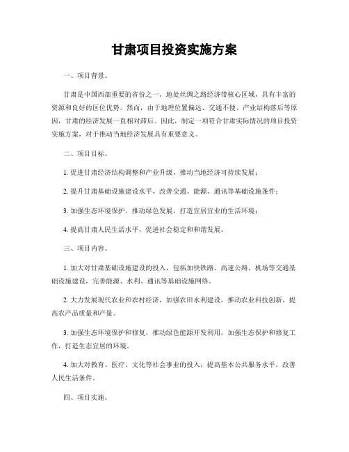 甘肃项目投资实施方案