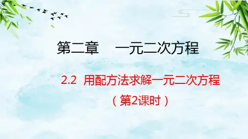 2.2 用配方法求解一元二次方程 第2课时九年级上册数学北师大版