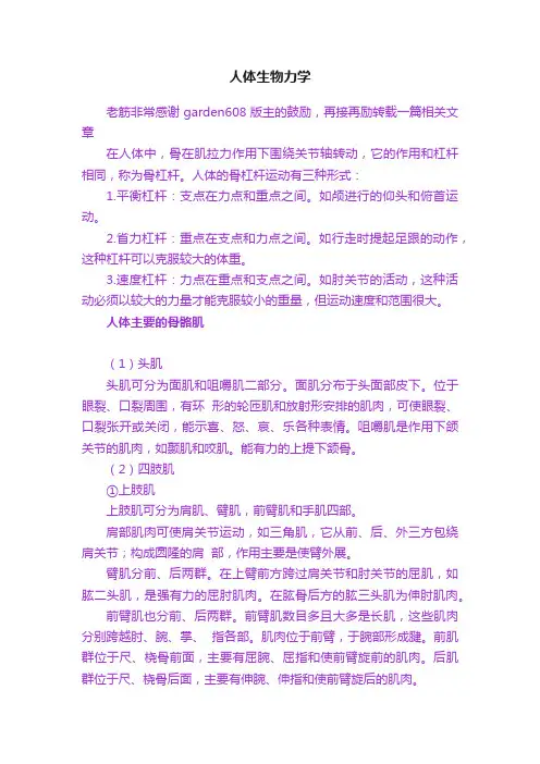 人体生物力学