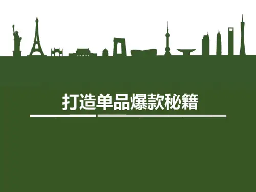 如何打造单品爆款word版本