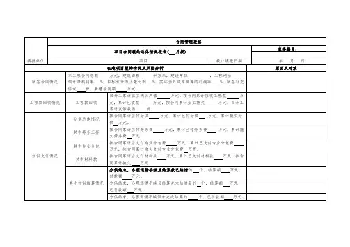 项目合同履约总体情况报表