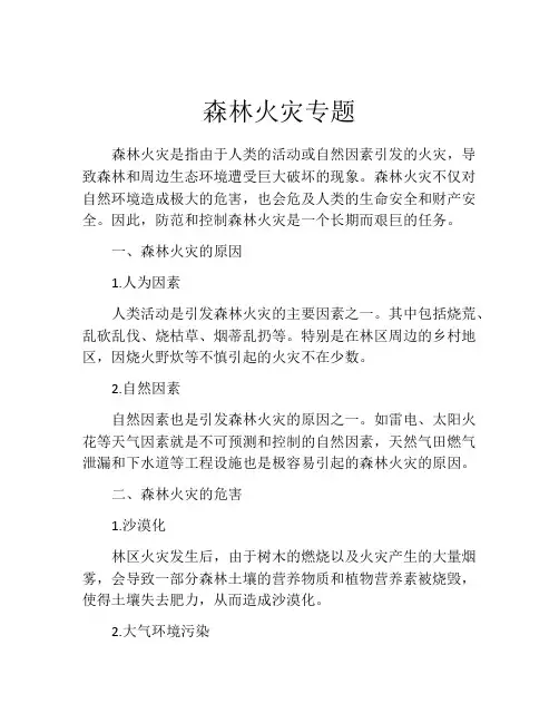 森林火灾专题