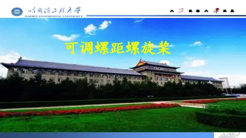 可调距桨ppt课件