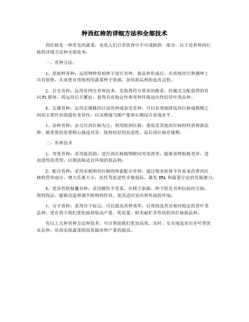种西红柿的详细方法和全部技术