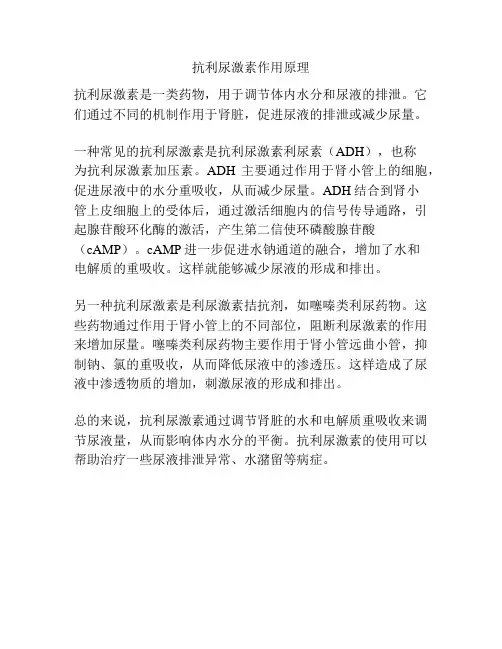 抗利尿激素作用原理