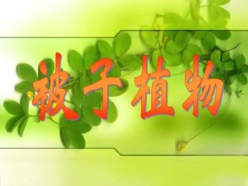 植物的类群-被子植物之一