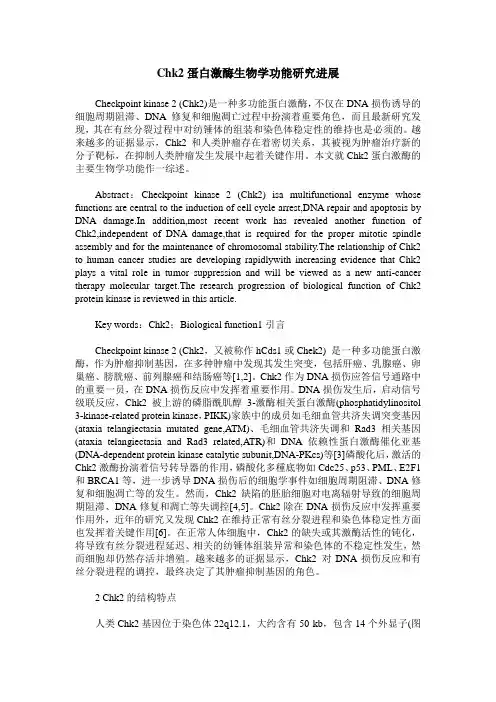 Chk2蛋白激酶生物学功能研究进展