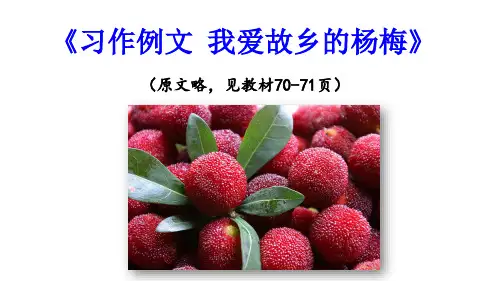 习作例文我爱故乡的杨梅课件