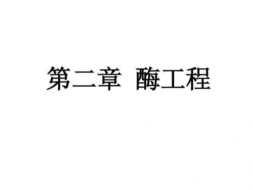 第二章 酶工程