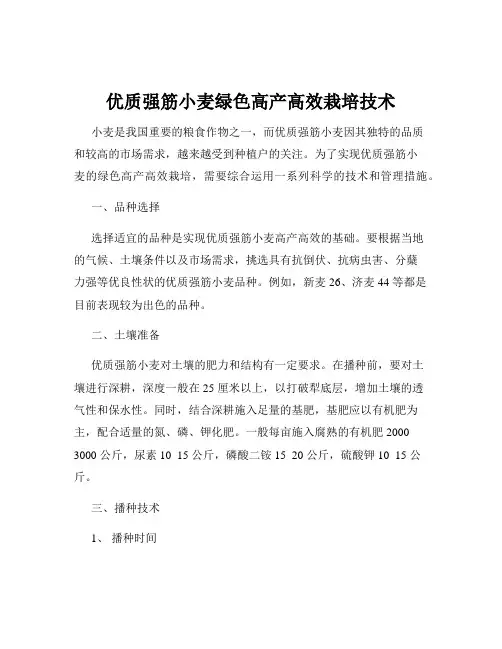 优质强筋小麦绿色高产高效栽培技术