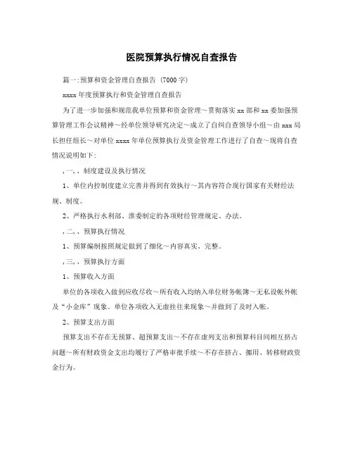 医院预算执行情况自查报告