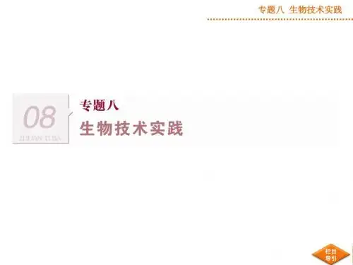 高考生物二轮专题复习：8.1《生物技术在食品加工中的应用》ppt课件(36页)