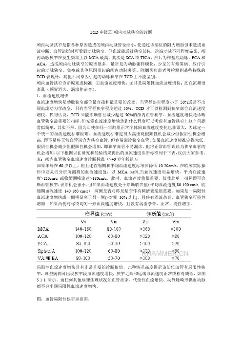 TCD中级班-颅内动脉狭窄的诊断
