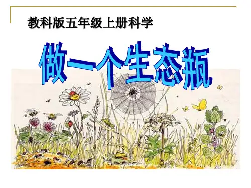 《做一个生态瓶》生物与环境PPT课件四