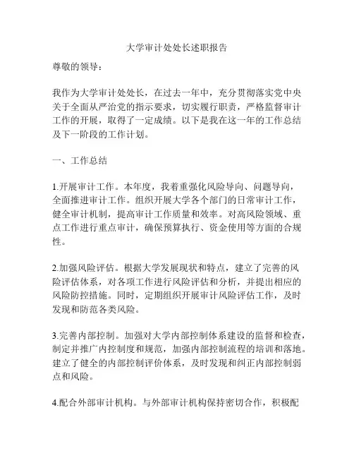 大学审计处处长述职报告