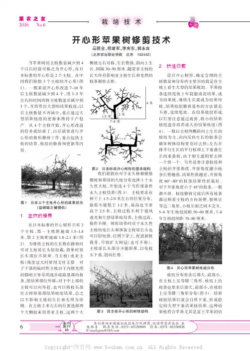 开心形苹果树修剪技术