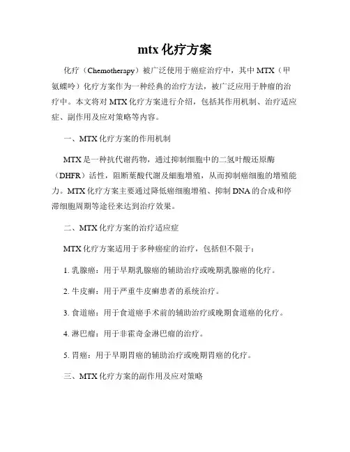 mtx化疗方案