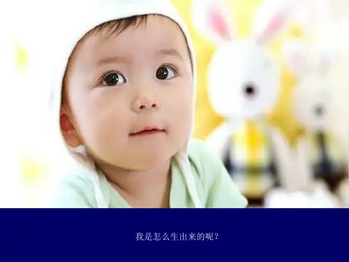 正常分娩教学课件