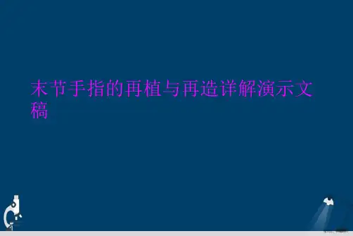末节手指的再植与再造详解演示文稿