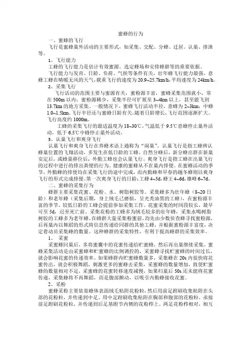 蜜蜂的行为
