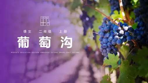 《葡萄沟》ppt课件