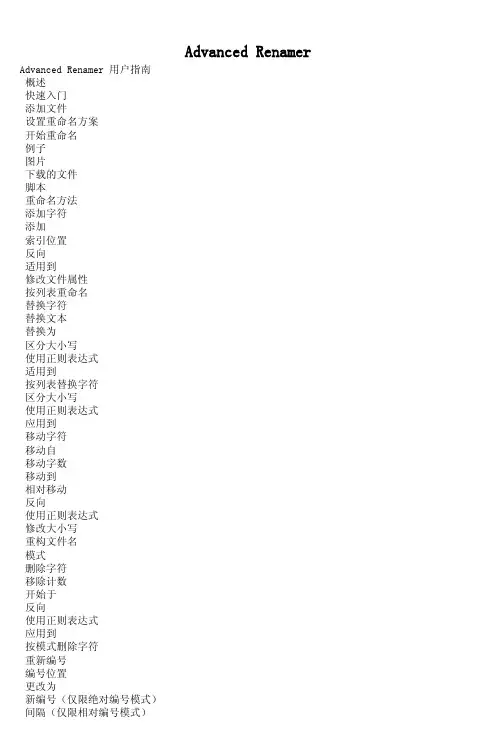 Advanced Renamer 用户指南