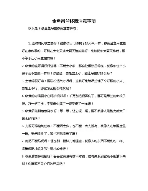 金鱼吊兰移栽注意事项