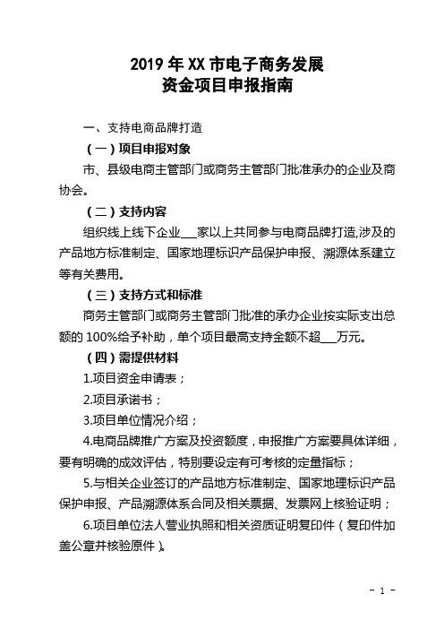 2019年XX市电子商务发展资金项目申报材料【模板】