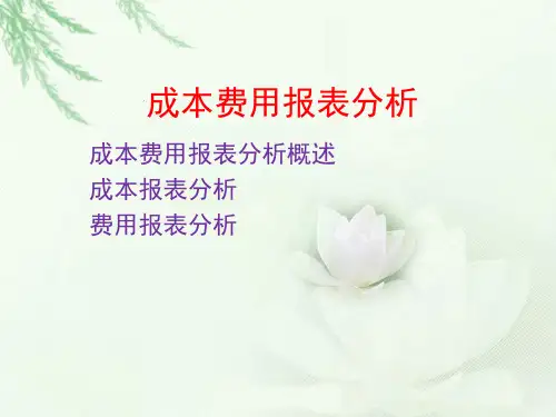 第六章成本费用报表分析