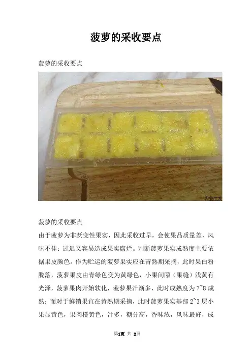 菠萝的采收要点