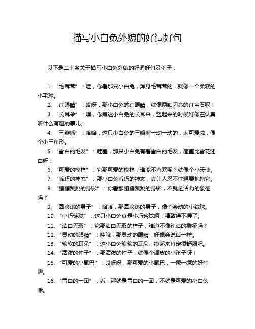 描写小白兔外貌的好词好句