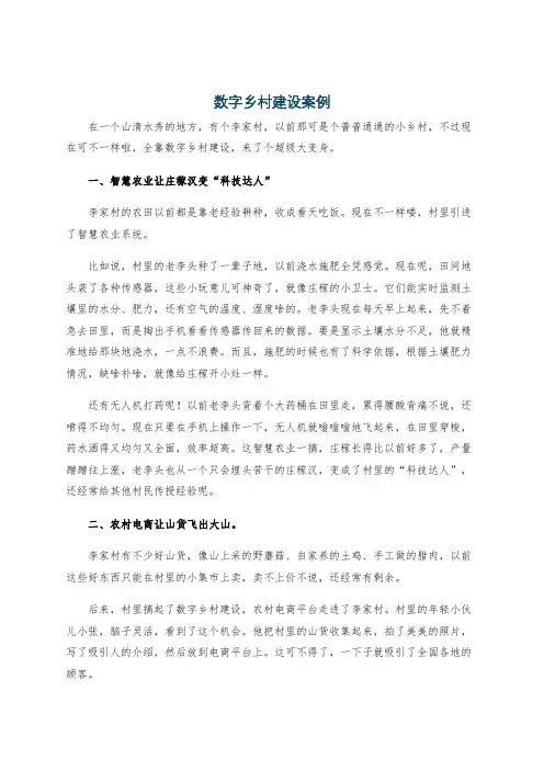 数字乡村建设案例