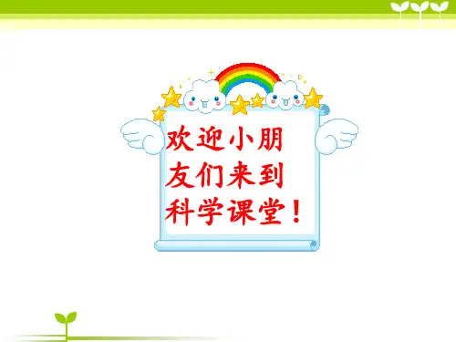 五年级上册科学课件- 1.5 食物链和食物网｜教科版 (共12张PPT)