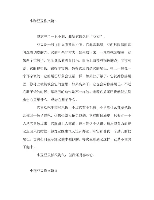 小狗豆豆作文7篇
