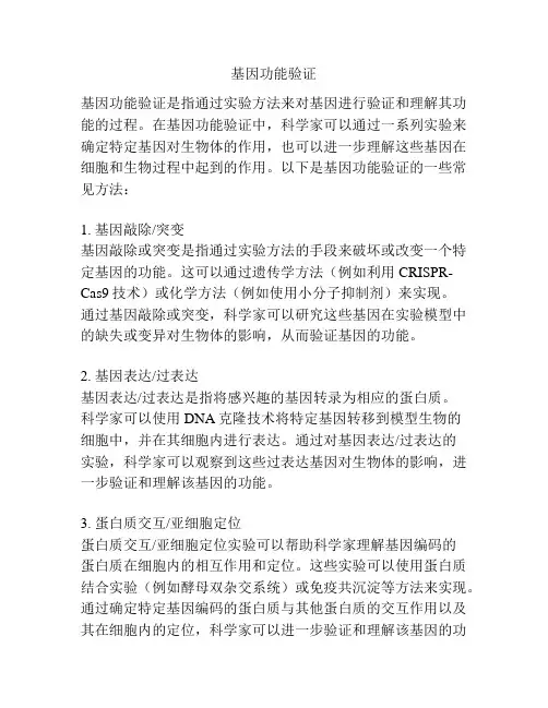 基因功能验证