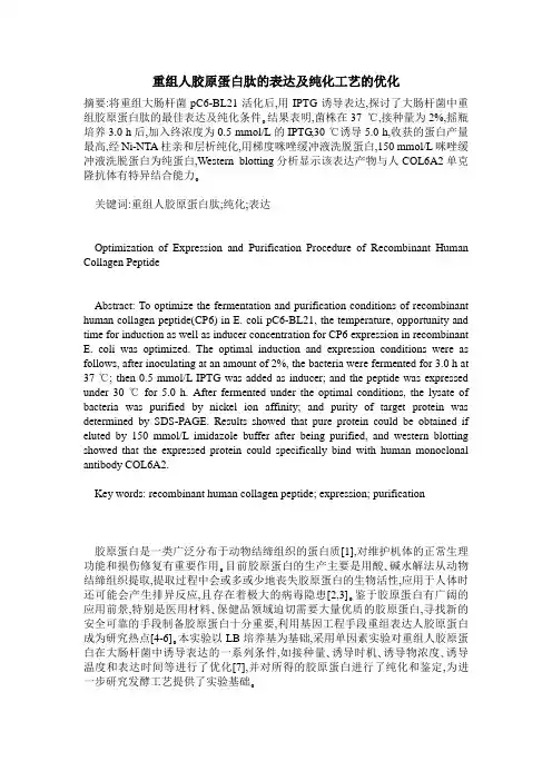 重组人胶原蛋白肽的表达及纯化工艺的优化