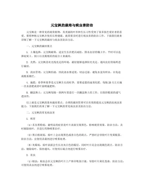 元宝枫的栽培与病虫害防治
