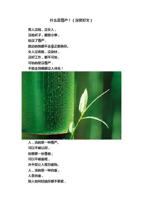 什么是尊严！（深度好文）