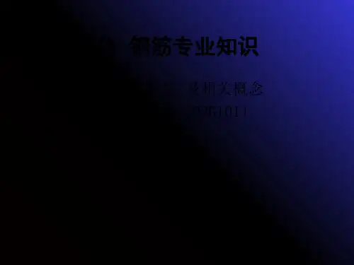 梁,柱,板,钢筋平法标注图解