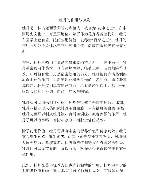 牡丹的作用与功效