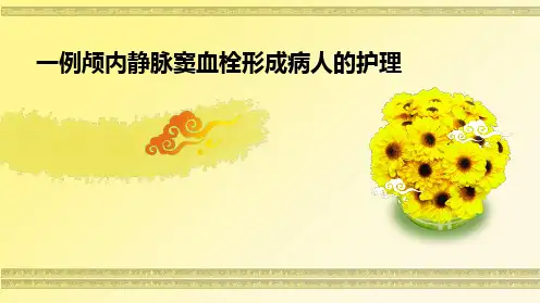 一例颅内静脉窦血栓形成病人的护理PPT课件