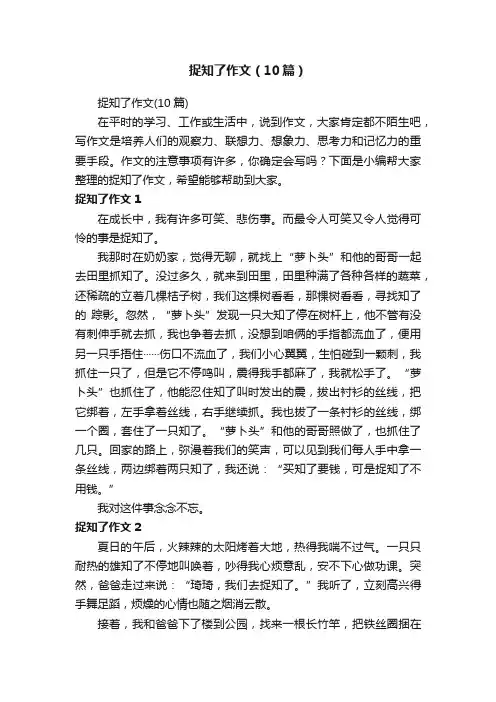 捉知了作文（10篇）